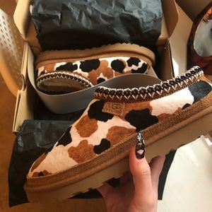 Cow Print Tasman Uggs